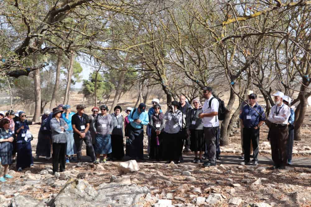 migdal-ohr-tiveria-rosh-pina-meron-akko-november-2017